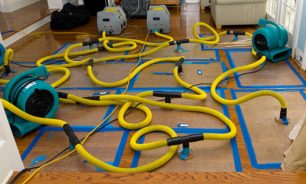 Professional Burst Pipe Water Damage technician working in Lisle, IL